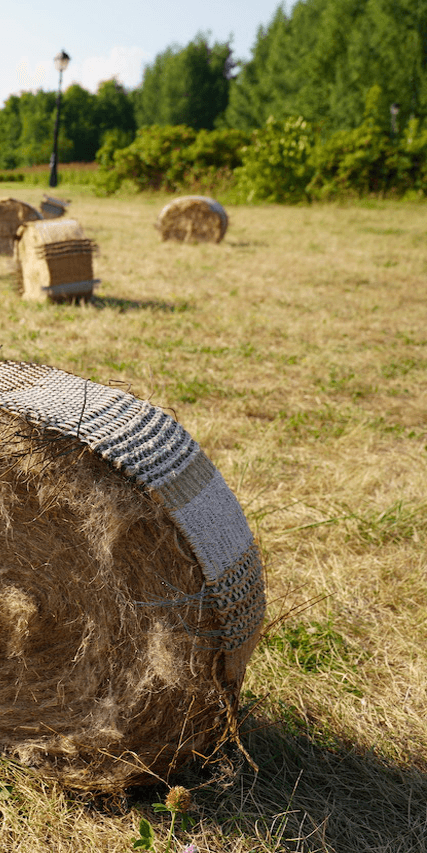 tumbleweed